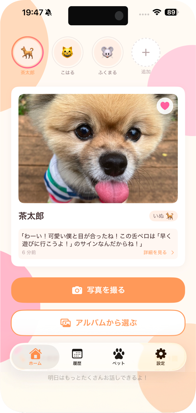 MofuTalkアプリのスクリーンショット - ペットの写真からAIが気持ちを翻訳している画面